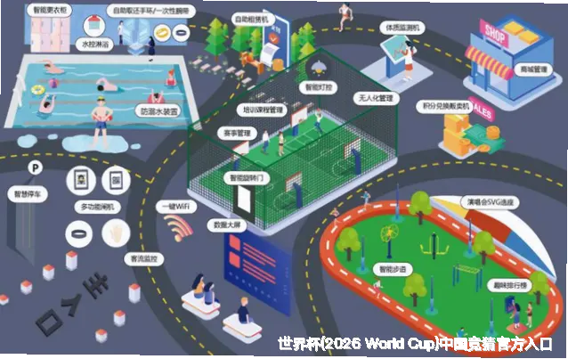 历史命中率展示